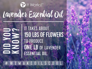 Wist jij dit al over Lavendel Essential Oils?