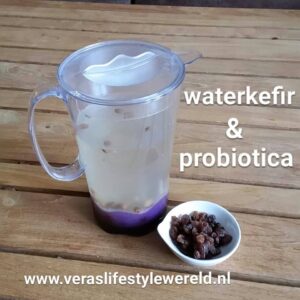 Waterkefir zelf brouwen | Recept en succestips