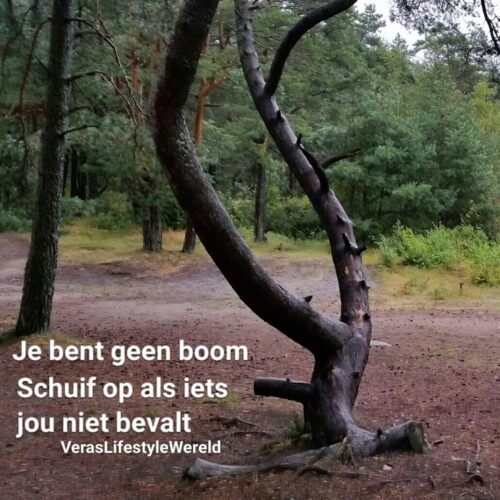 Je bent geen boom! Schuif op als iets jou niet bevalt - 21/90 regel