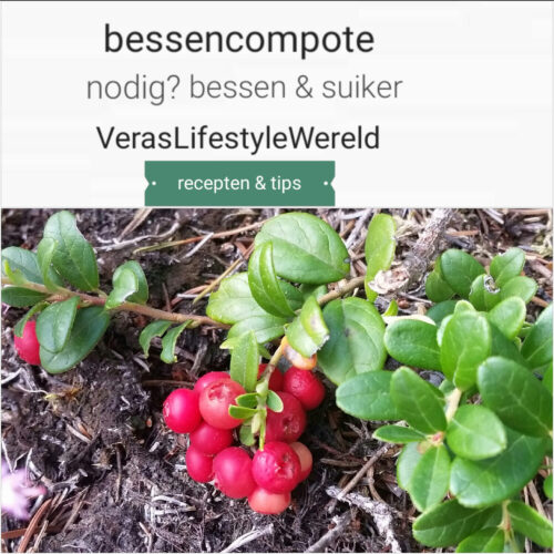 Zelf bessencompote maken incl recept