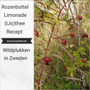 Recept Rozenbottellimonade en (IJs)thee - Wildplukken in Zweden