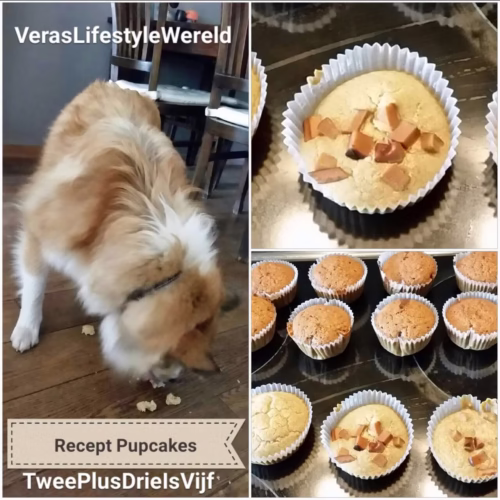 recept pupcake voor de hond
