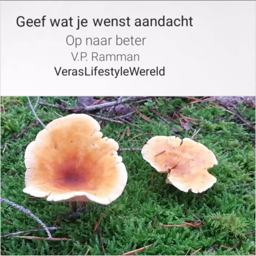 Geef wat je wenst aandacht - V.P. Ramman