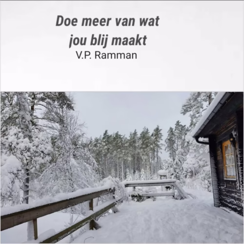 Doe meer van wat jou blij maakt - V.P. Ramman