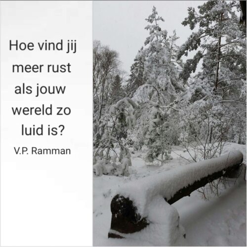 Hoe vind jij meer rust als jouw wereld zo luid is?