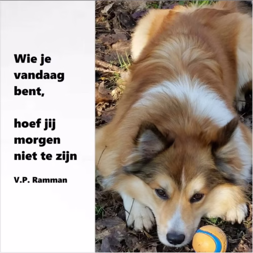 Wie je vandaag bent, hoef je morgen niet te zijn