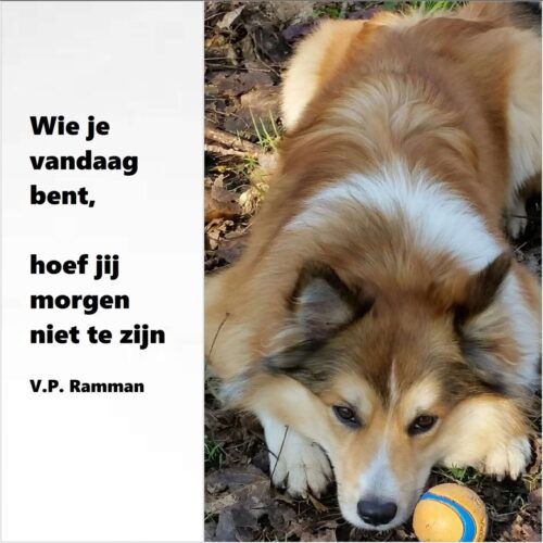 Wie je vandaag bent, hoef je morgen niet te zijn