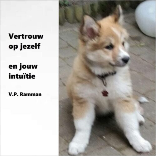 Vertrouw op jezelf en jouw intuïtie