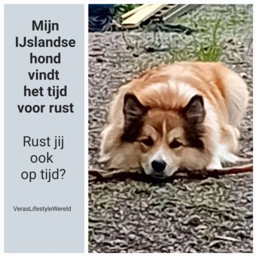 Durf druk te minderen - V.P. Ramman