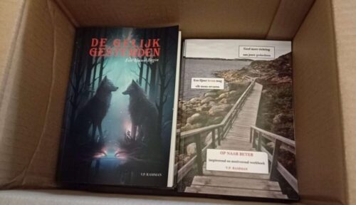 De Gelijkgestemden - Een Nieuw Begin en Op Naar Beter van V.P. Ramman