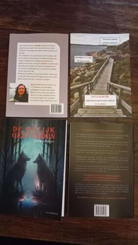 De Gelijkgestemden - Een Nieuw Begin van V.P. Ramman