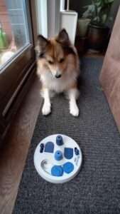 Deze activity trainer is een no brainer - Blijf nieuwe dingen leren