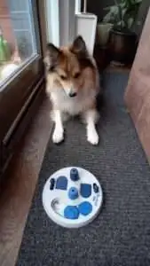 Deze activity trainer is een no brainer - Blijf nieuwe dingen leren