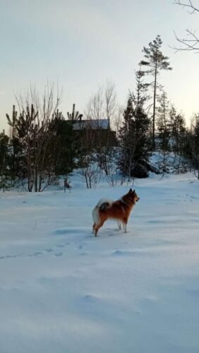 Zie jij overal enge dingen? Lees het meeslepende boek De Gelijkgestemden - Een Nieuw Begin van V.P. Ramman eens