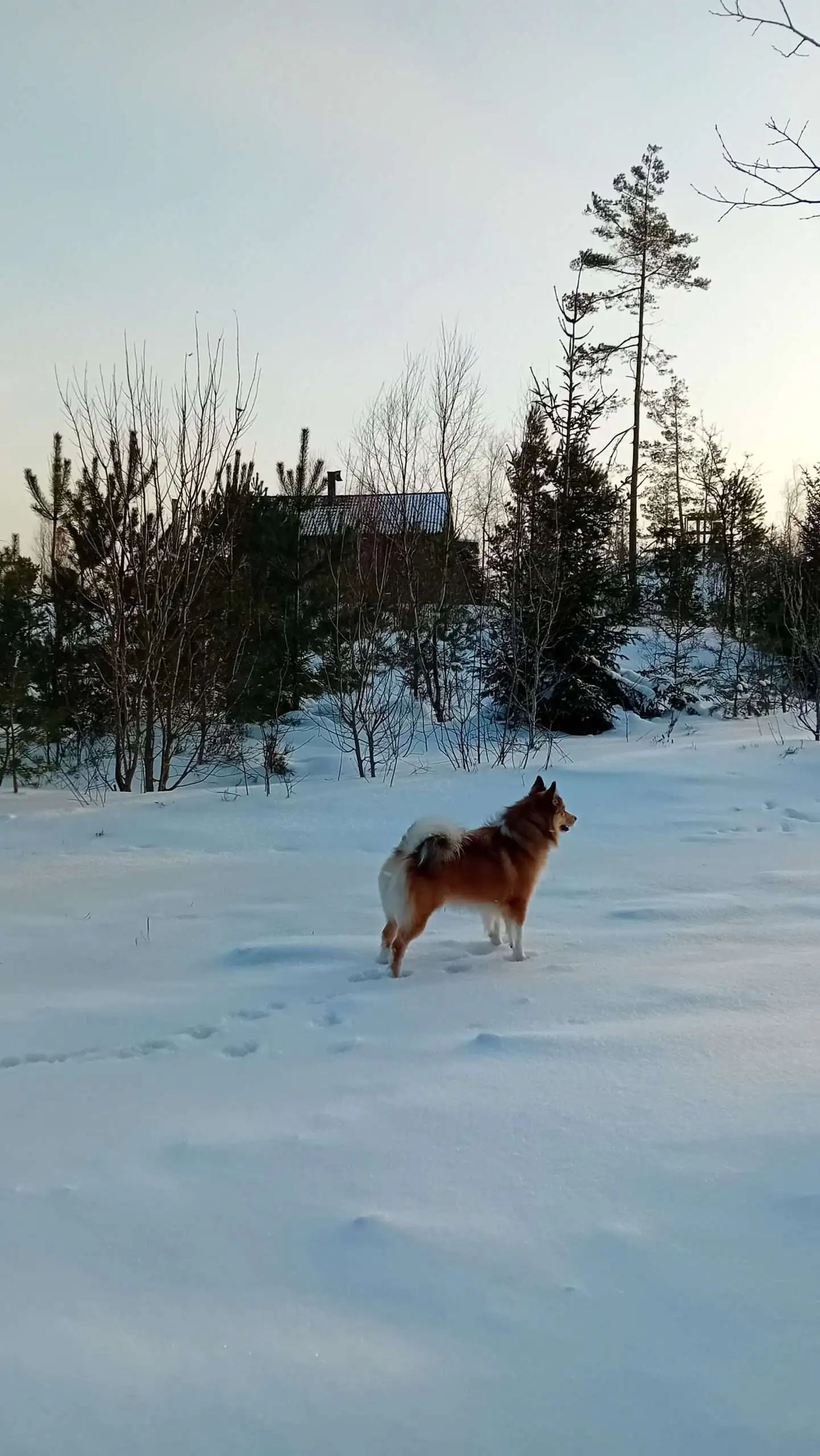 Vind jij overal enge dingen ? Lees het meeslepend verhaal De Gelijkgestemden - Een Nieuw Begin van V.P. Ramman eens