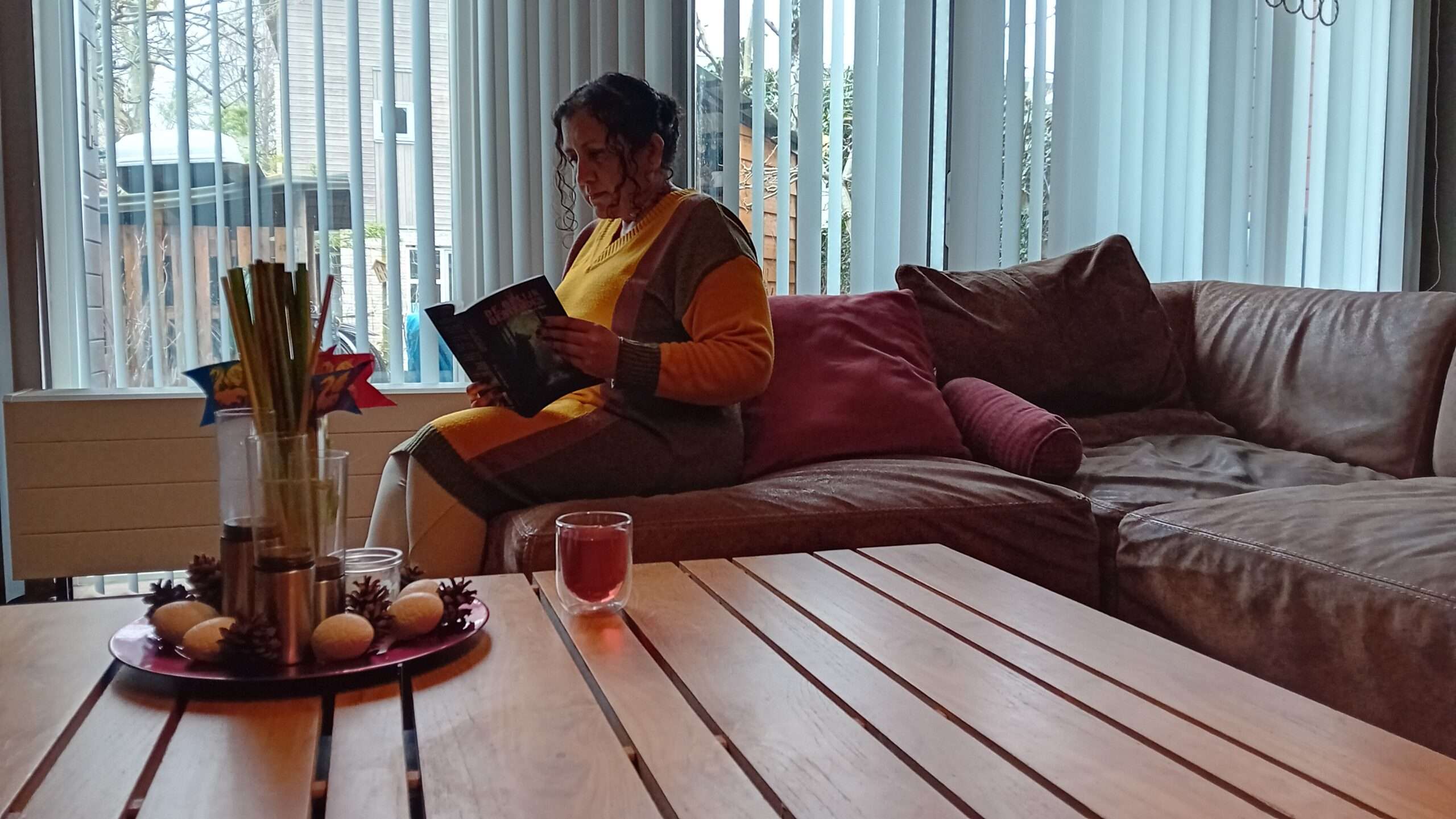 De Gelijkgestemden - Een Nieuw Begin van V.P. Ramman