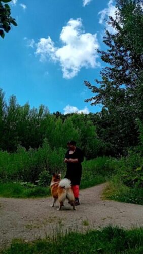 Auteur V.P. Ramman met haar IJslandse hond Odin