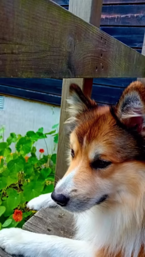 Geen bal uitvoeren kan goed zijn