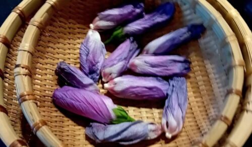 Natuurlijke haarverf met henna en hibiscus - DIY Recept