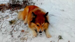 Geniet van elk seizoen | Positief denken