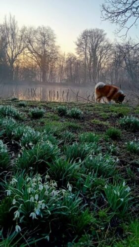 Lente! Leer dat blije oerinstinct waarderen