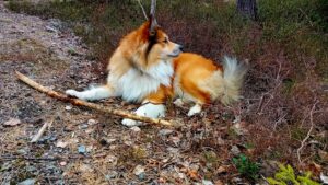 Geloof in jezelf | Mindful | Positieve motivatie