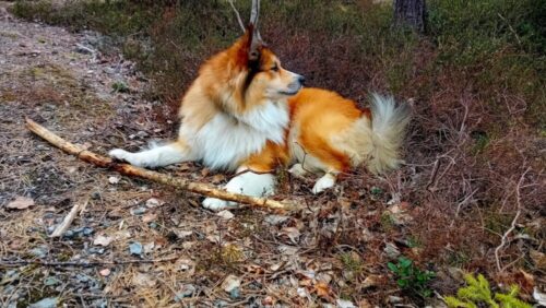 Geloof in jezelf | Mindful | Positieve motivatie