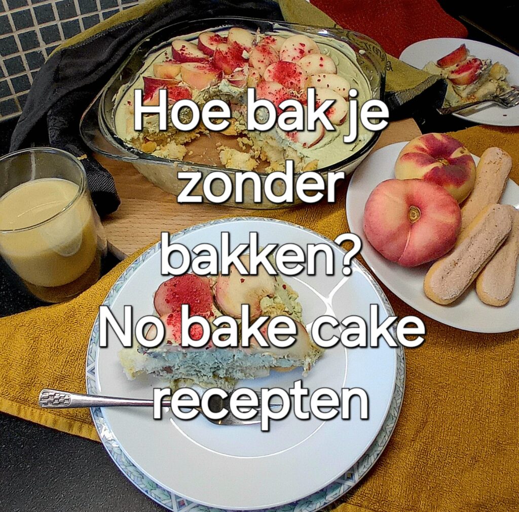 Hoe bak je zonder bakken? No bake cake recepten | 10+ taarten en desserts
