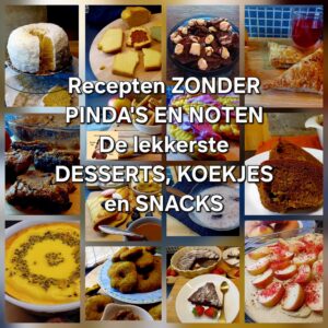 Recepten zonder pinda's en noten voor de lekkerste desserts koekjes en snacks