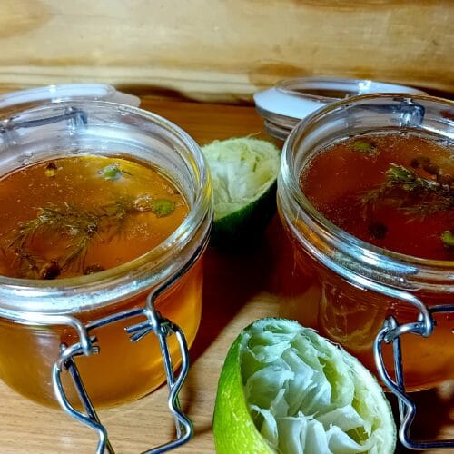 Gin & Tonic Gelei maken (alcoholvrij) | Wildpluk Jeneverbes Recept
