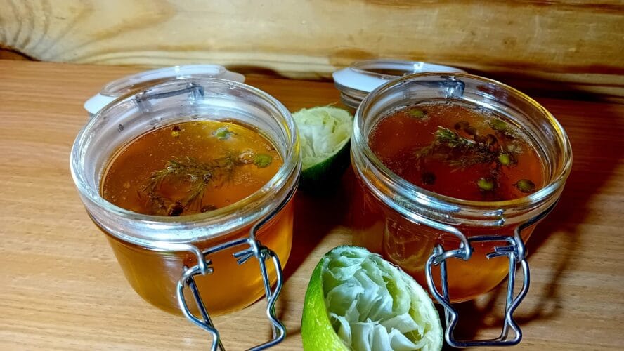 Gin & Tonic Gelei maken (alcoholvrij) | Wildpluk Jeneverbes Recept